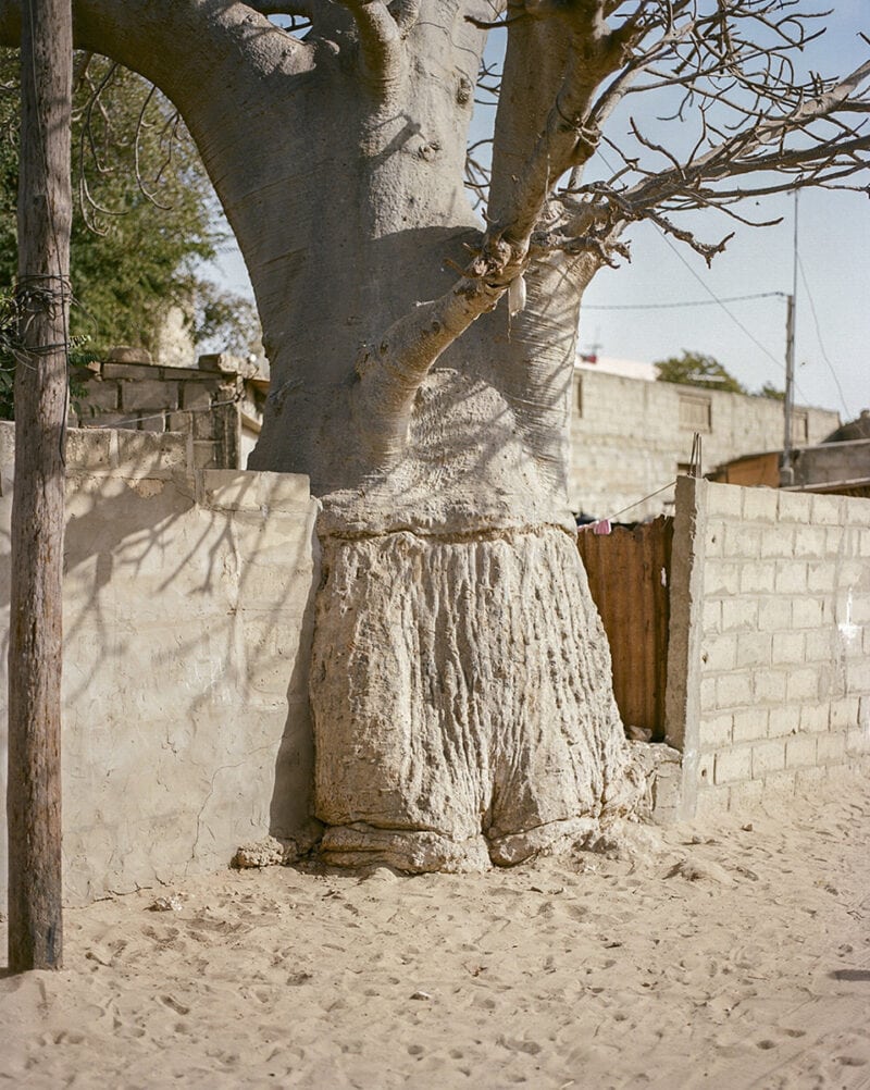 Eva Donckers La Lune Se Trouve Dans Le Sachet C41magazine Photography 5