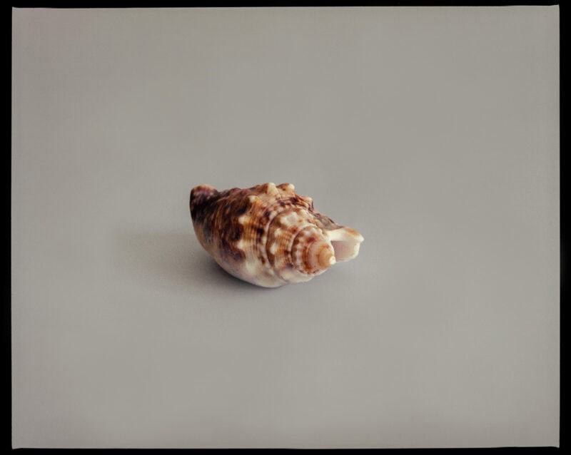 Gianluigi Cerioli Val Di Noto C41magazine Photography 14