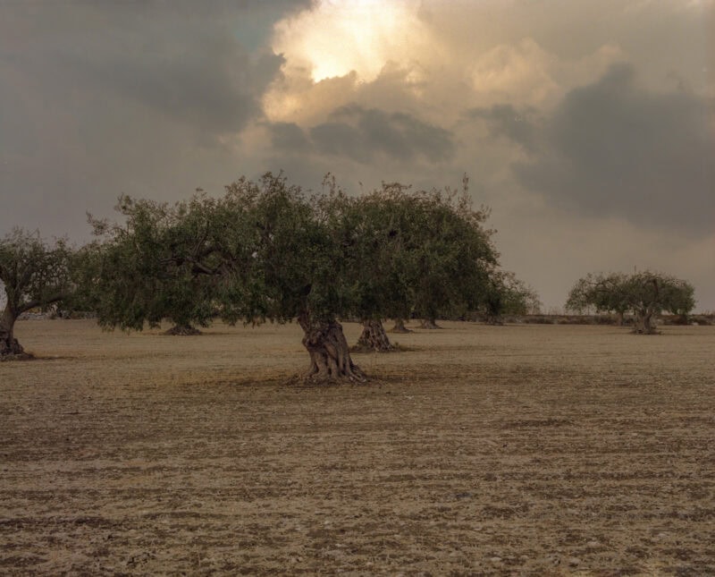 Gianluigi Cerioli Val Di Noto C41magazine Photography 8