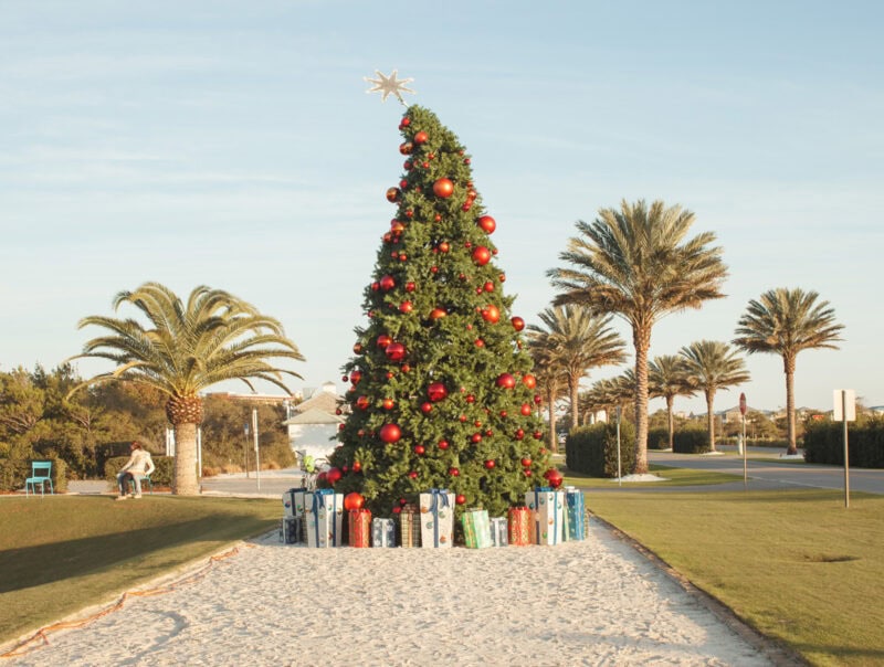 “Christmas Tree Study No 3.,” Alys Beach, Florida, December 30, 2012