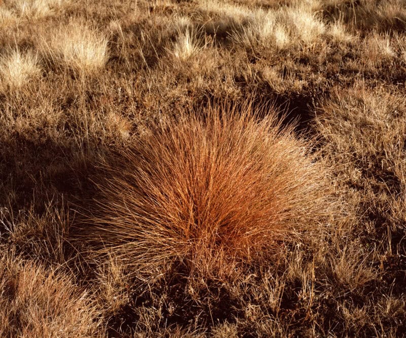 Philippe Fragnière Greppon C41magazine Photography 19
