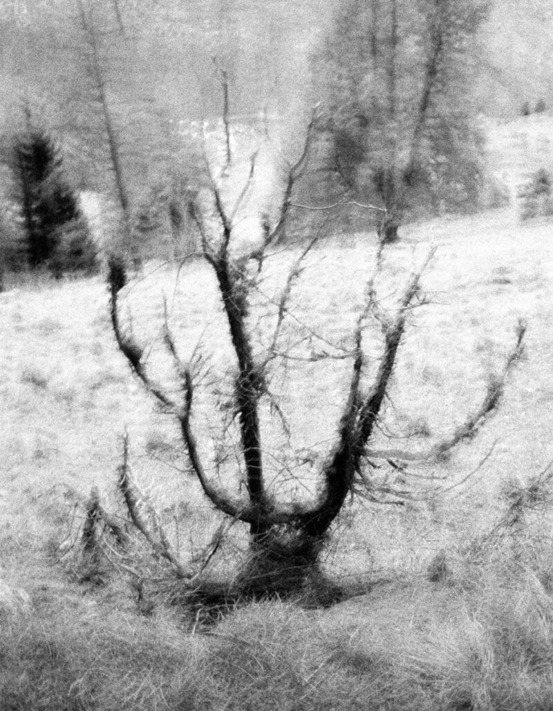 Philippe Fragnière Greppon C41magazine Photography 27