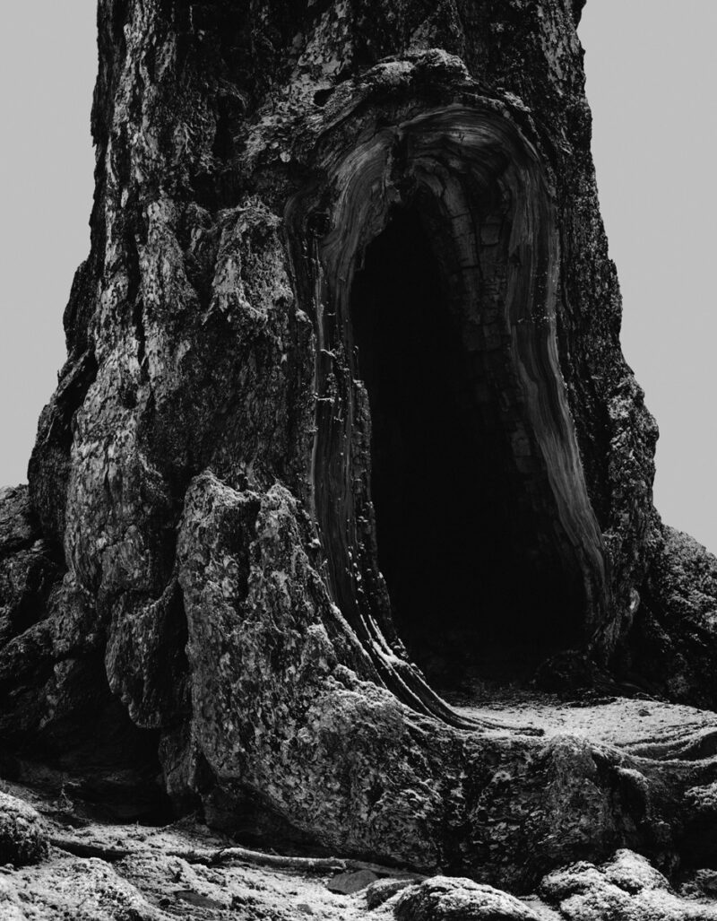 Philippe Fragnière Greppon C41magazine Photography 3