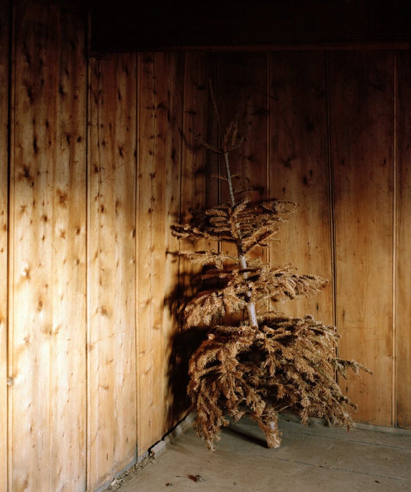 Philippe Fragnière Greppon C41magazine Photography 5