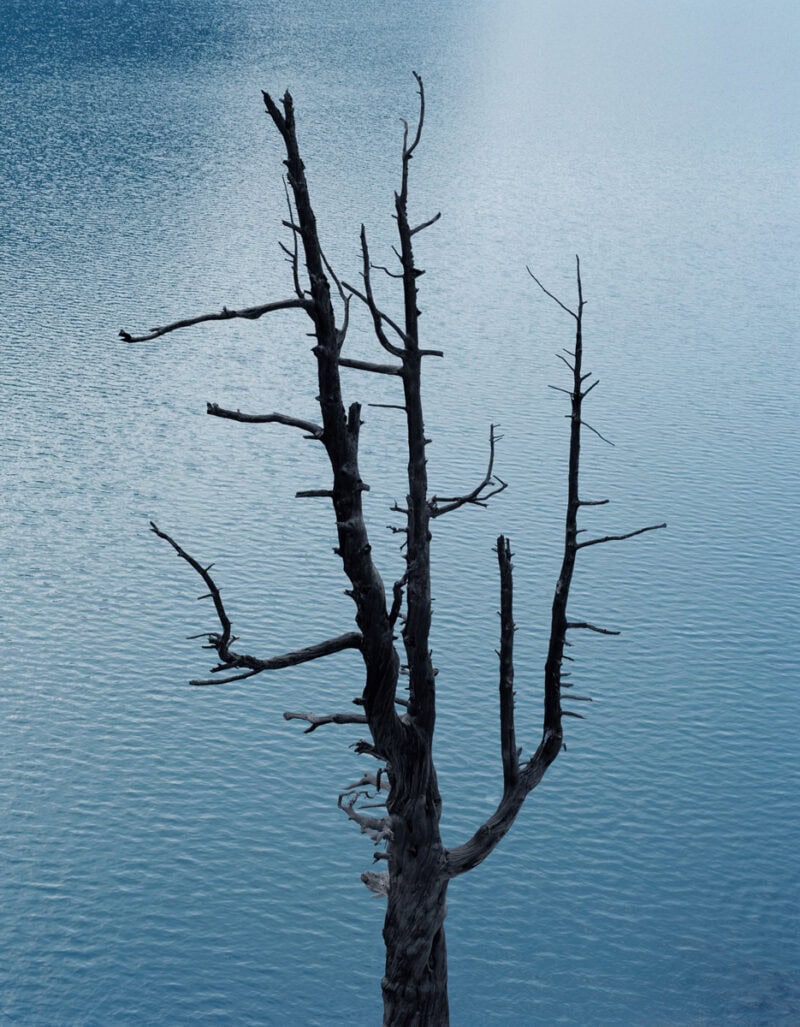 Philippe Fragnière Greppon C41magazine Photography 8