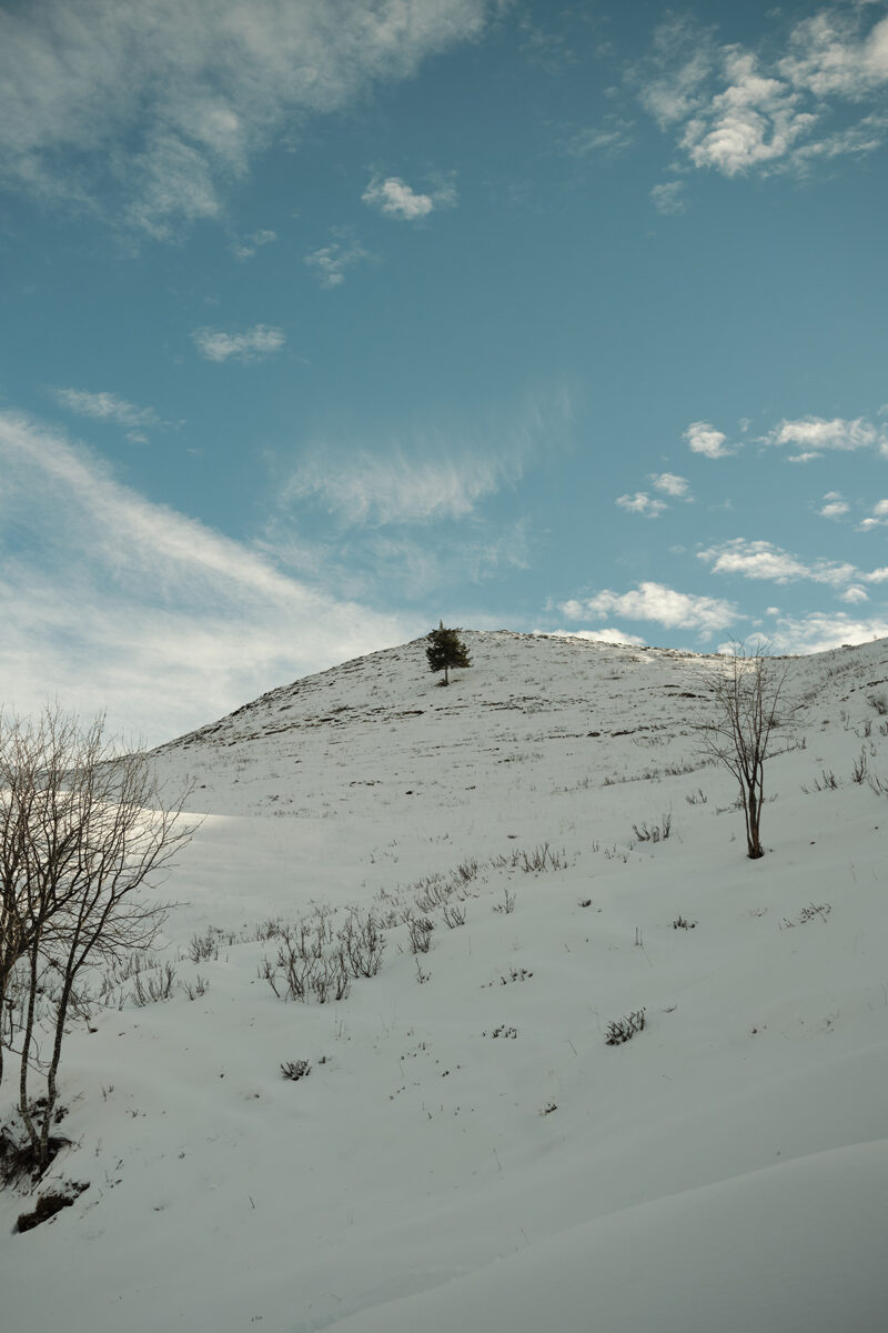 DSCF2469