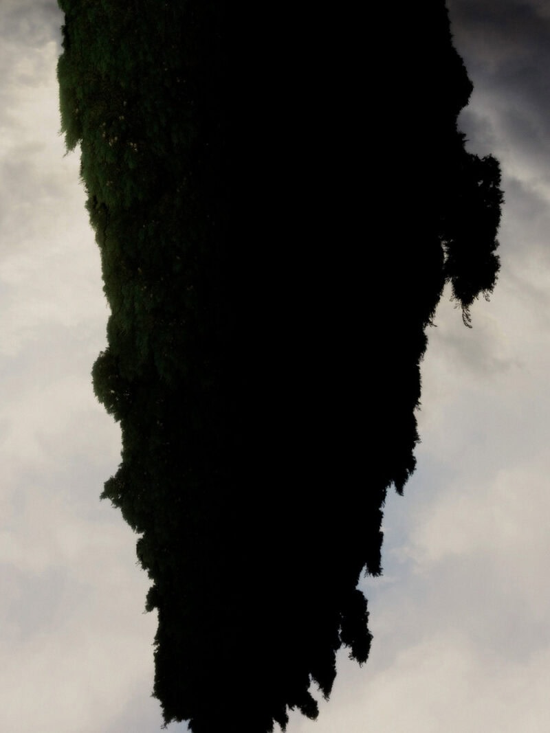 Fabrizio Albertini Il Giardino C41magazine Photography 11