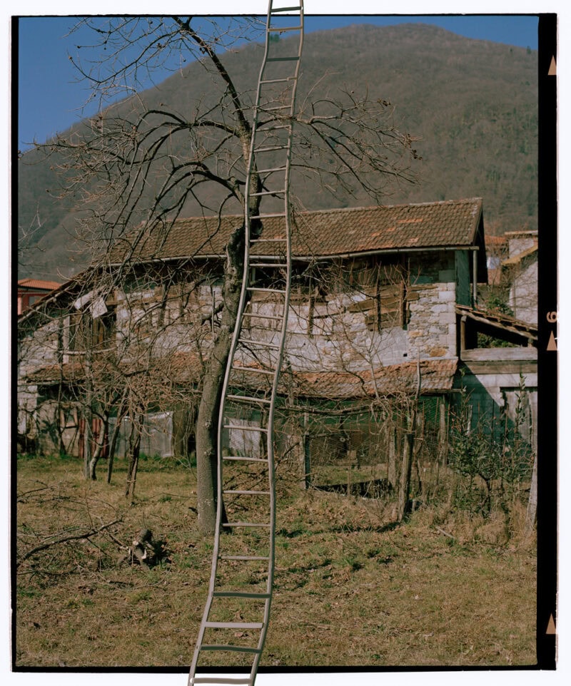 Fabrizio Albertini Il Giardino C41magazine Photography 14