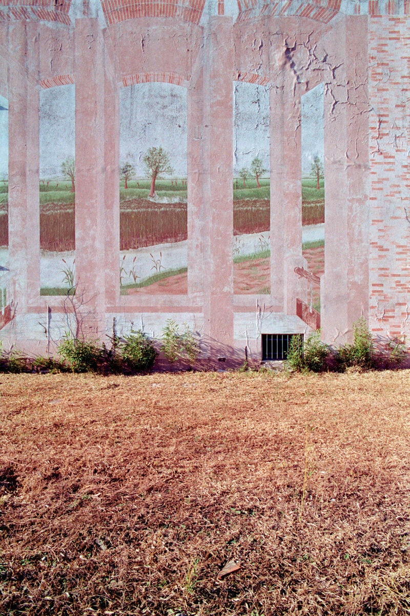Francesco Costantini Where Ivy Grows C41magazine Photography 10