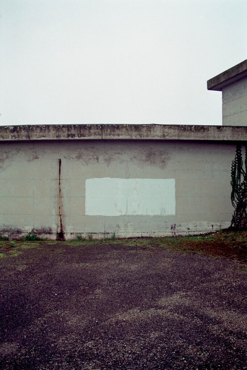 Francesco Costantini Where Ivy Grows C41magazine Photography 11