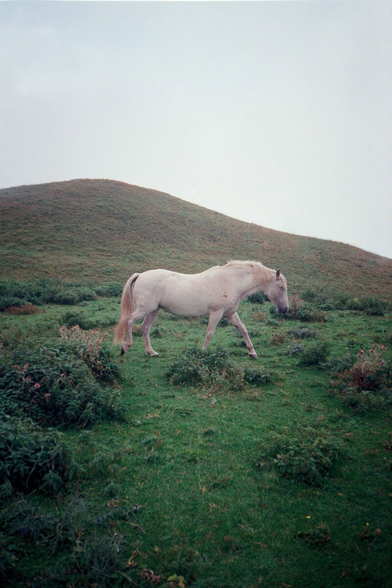 Francesco Costantini Where Ivy Grows C41magazine Photography 12