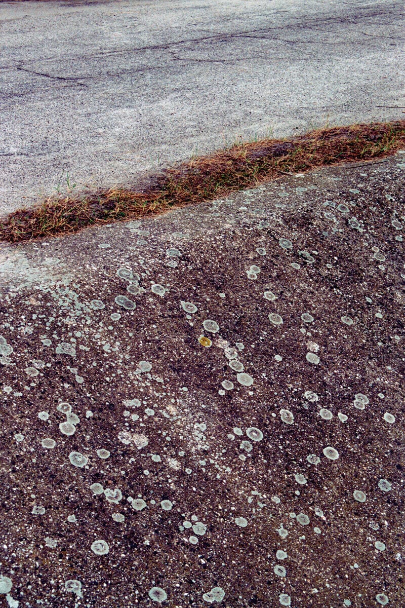 Francesco Costantini Where Ivy Grows C41magazine Photography 15