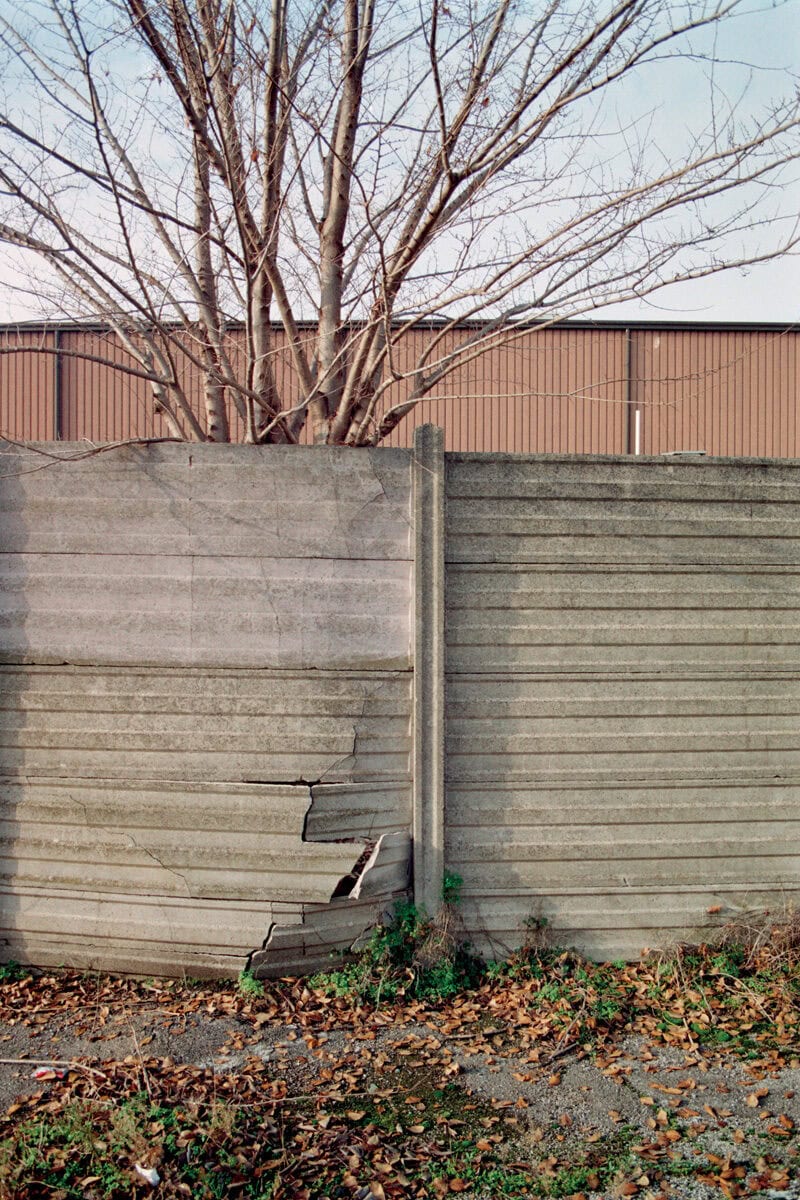 Francesco Costantini Where Ivy Grows C41magazine Photography 16