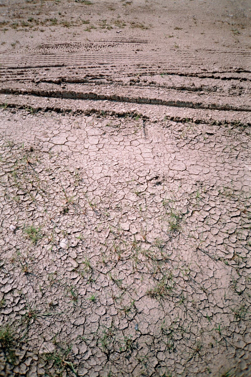 Francesco Costantini Where Ivy Grows C41magazine Photography 19