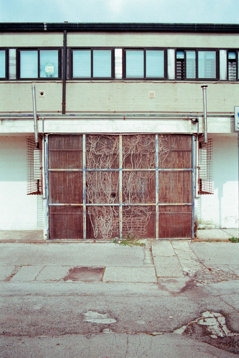 Francesco Costantini Where Ivy Grows C41magazine Photography 21