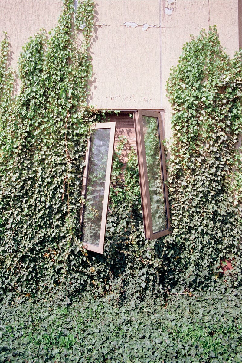 Francesco Costantini Where Ivy Grows C41magazine Photography 22