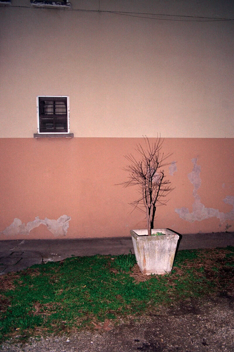 Francesco Costantini Where Ivy Grows C41magazine Photography 24