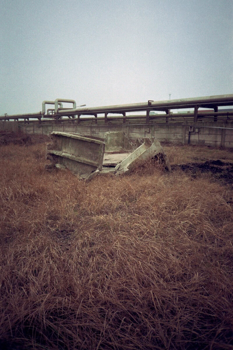 Francesco Costantini Where Ivy Grows C41magazine Photography 26