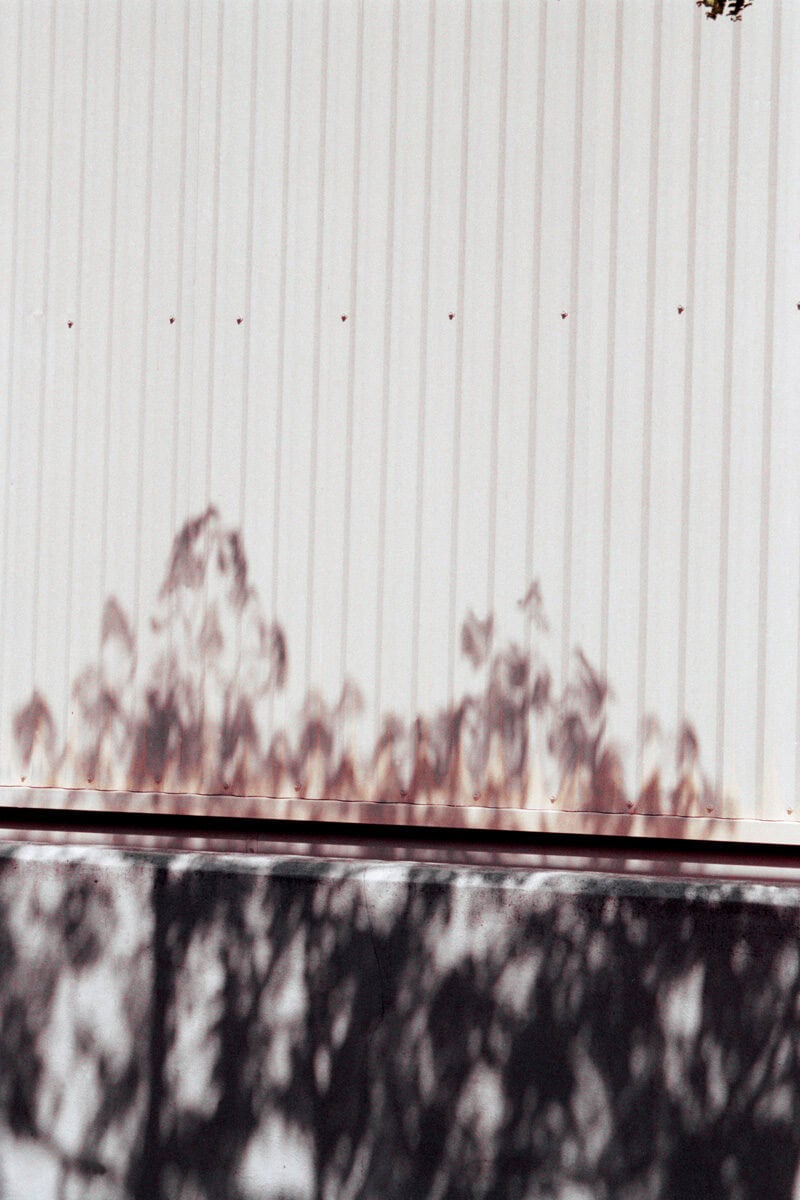 Francesco Costantini Where Ivy Grows C41magazine Photography 3