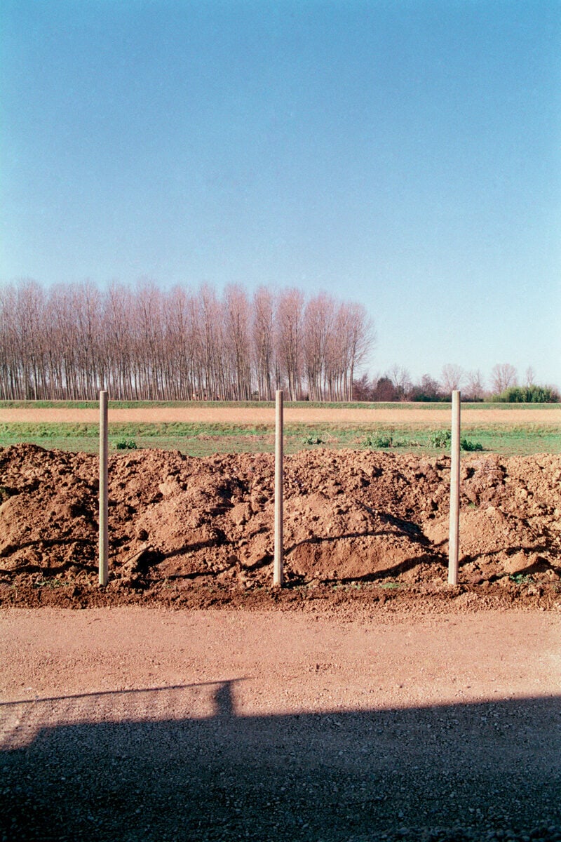 Francesco Costantini Where Ivy Grows C41magazine Photography 7