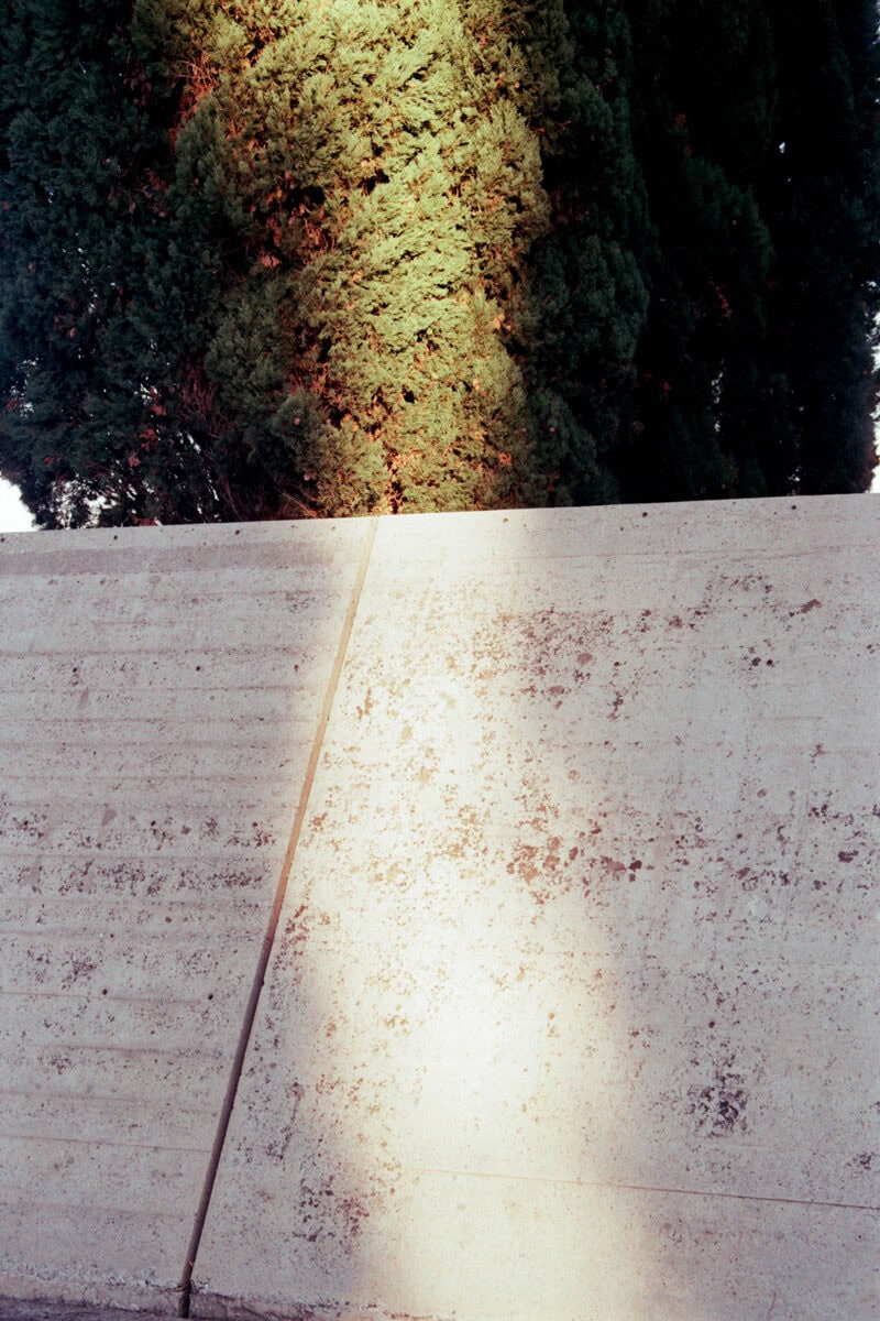 Francesco Costantini Where Ivy Grows C41magazine Photography 8
