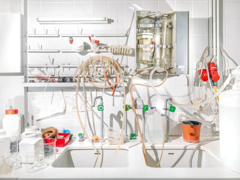 Klaus Pichler The Petunia Carnage C41magazine Photography 14