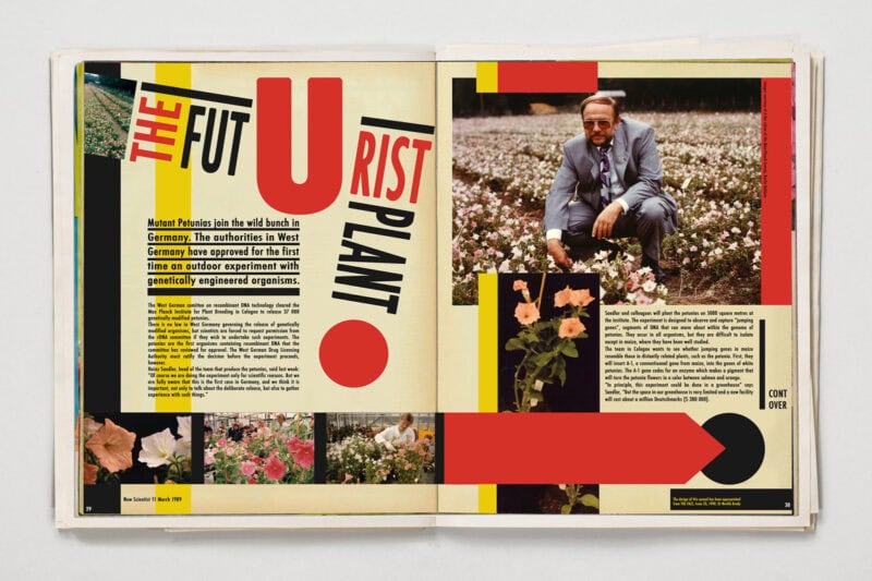 Klaus Pichler The Petunia Carnage C41magazine Photography 16