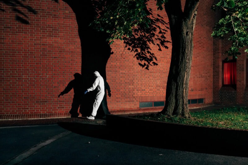 Klaus Pichler The Petunia Carnage C41magazine Photography 4
