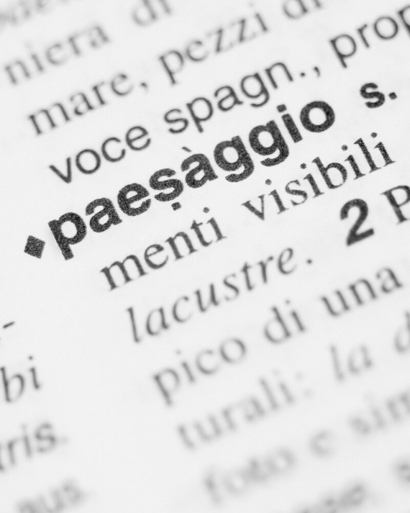 Andrea Camiolo Per Un Paesaggio Possibile C41magazine Photography 1