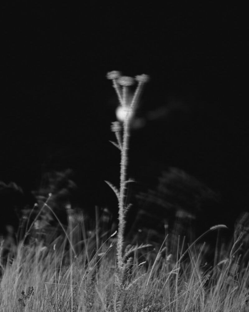 Andrea Camiolo Per Un Paesaggio Possibile C41magazine Photography 10