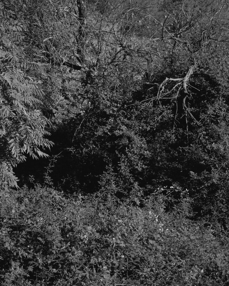 Andrea Camiolo Per Un Paesaggio Possibile C41magazine Photography 4
