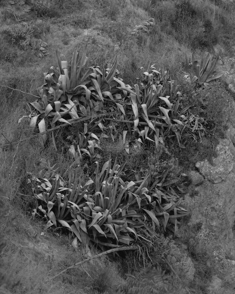 Andrea Camiolo Per Un Paesaggio Possibile C41magazine Photography 7