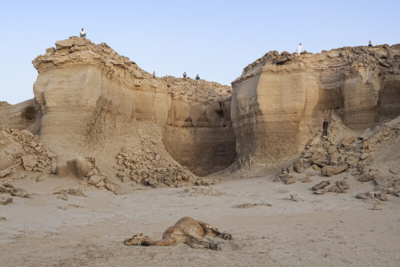 Gohar Dashti Stateless C41magazine Photography 3