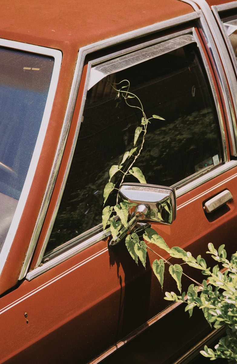 Processed With VSCO With Au1 Preset