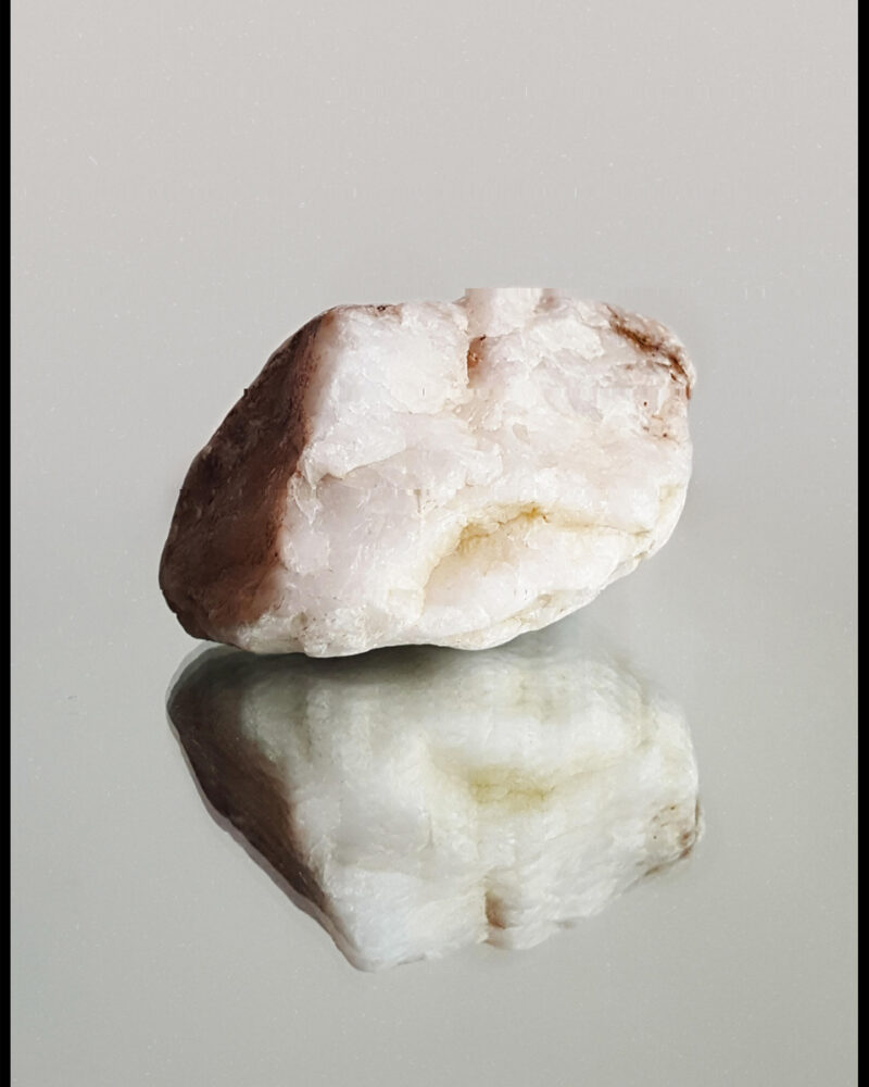 Elisa Di Dato Solitary Details C41magazine Photography 6