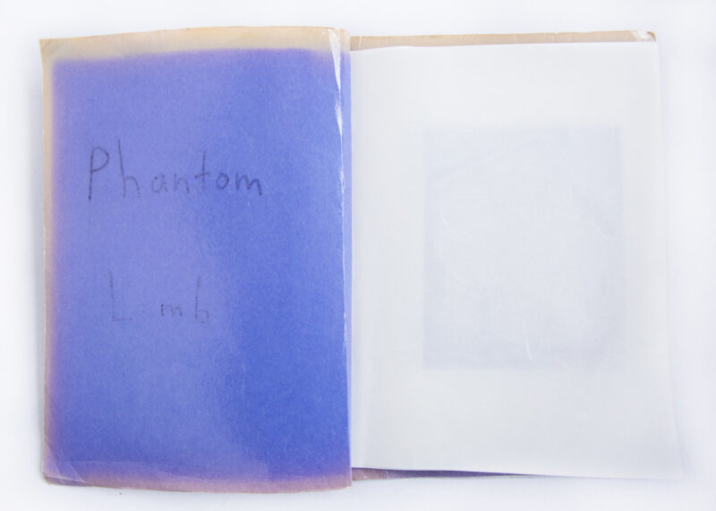 Hailey Heaton Phantom Limb C41magazine Photography 18