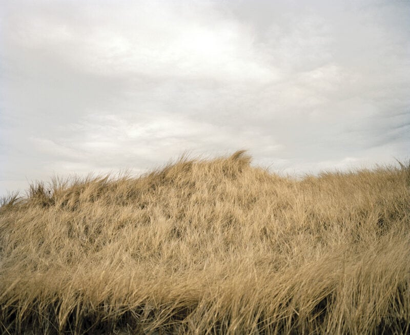 Maureen Drennan The Sea That Surrounds Us C41magazine Photography 5