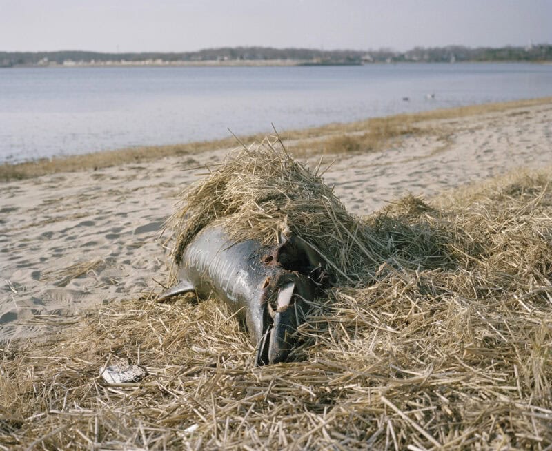 Maureen Drennan The Sea That Surrounds Us C41magazine Photography 8