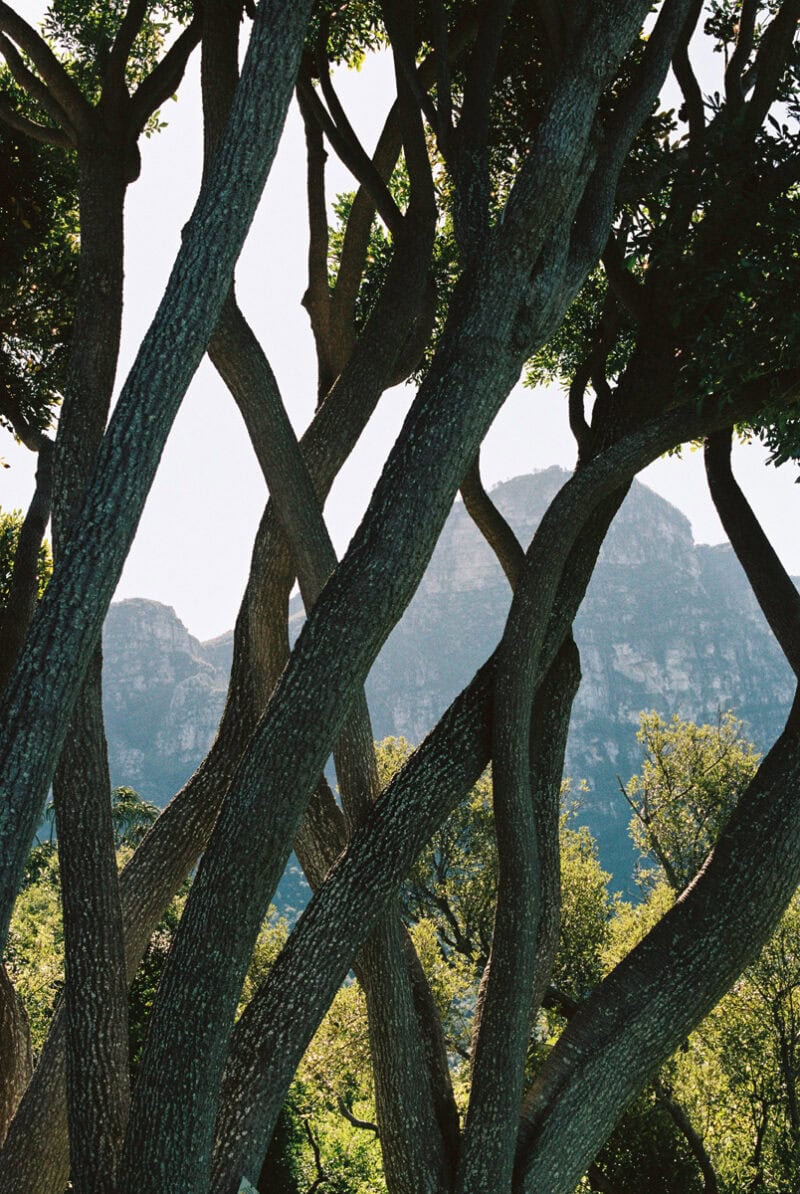 Paloma Saint Léger Seeing Again C41magazine Photography (1)