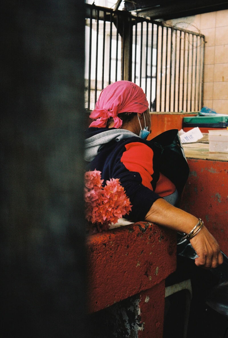 Paloma Saint Léger Seeing Again C41magazine Photography (2)