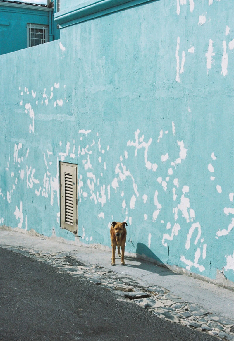 Paloma Saint Léger Seeing Again C41magazine Photography (6)