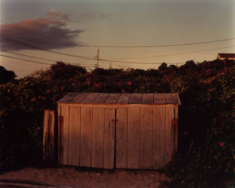 Roman Spataro Dead Fish, Footprint C41magazine Photography 10