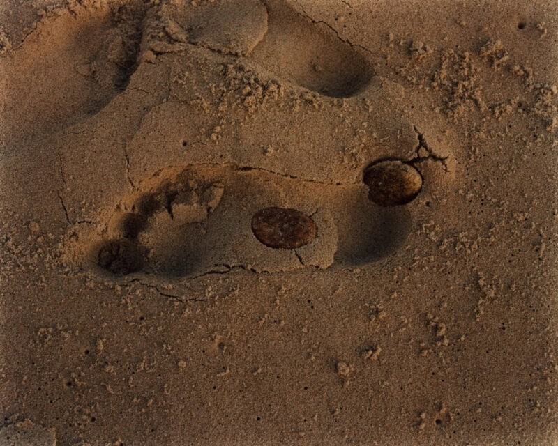 Roman Spataro Dead Fish, Footprint C41magazine Photography 12