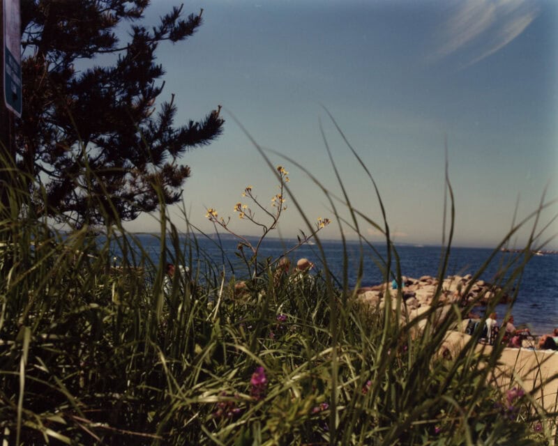 Roman Spataro Dead Fish, Footprint C41magazine Photography 6