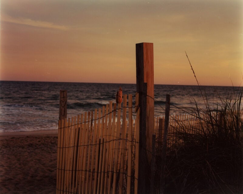 Roman Spataro Dead Fish, Footprint C41magazine Photography 9