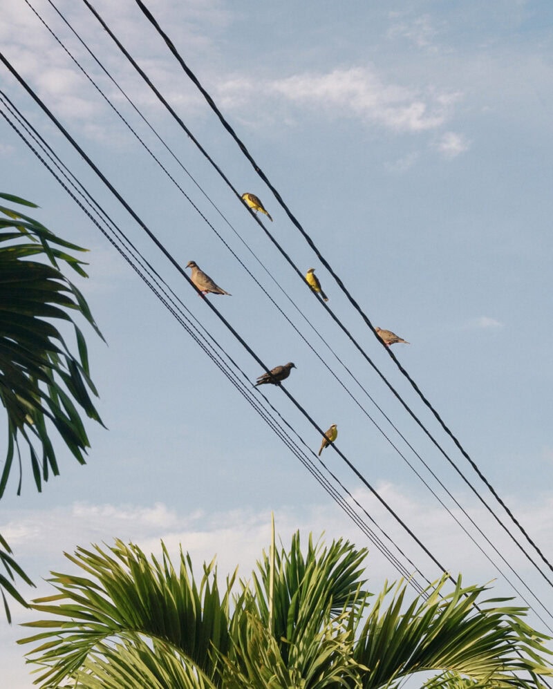 Tonje Thilesen One Another C41magazine Photography 10