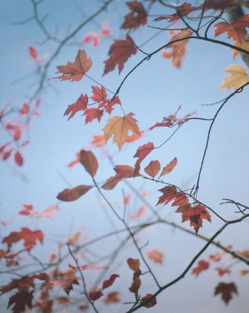 Tonje Thilesen One Another C41magazine Photography 3