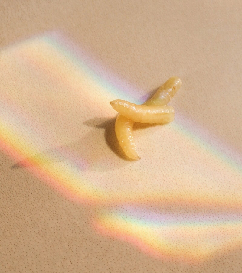 Tonje Thilesen One Another C41magazine Photography 32