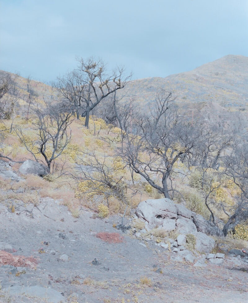 Tonje Thilesen One Another C41magazine Photography 5