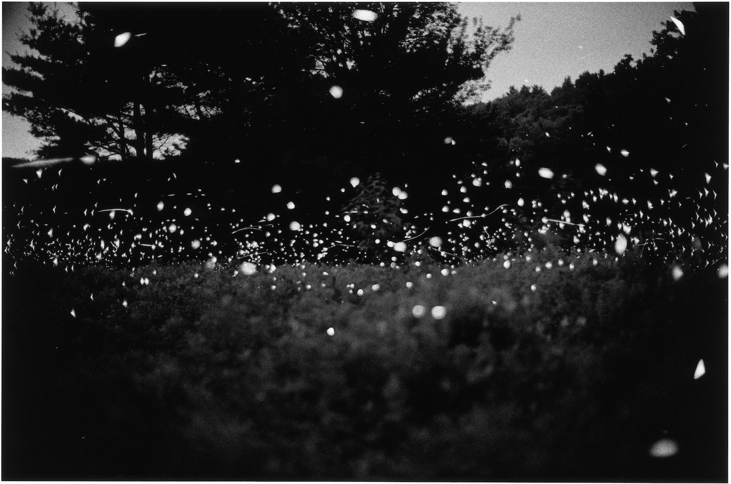 Eveningside by Gregory Crewdson — C41 Magazine